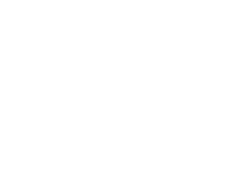 Dr. Leone Chiropractic